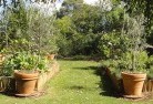 Chillagoevegetable-gardens-3.jpg; ?>